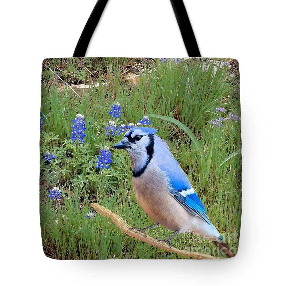 Bluejay Tote Bag featuring the photograph Bluejay in the Bluebonnets by Janette Boyd