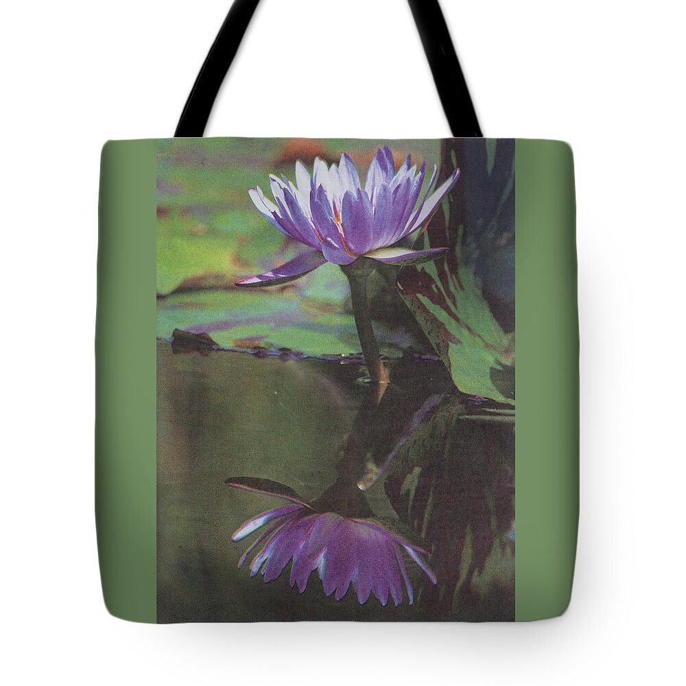 Intaglio Print Tote Bag featuring the photograph Blush of Purple by Suzanne Gaff