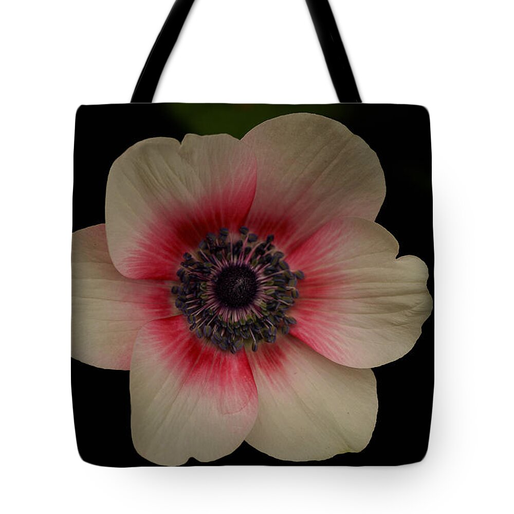 Anemone Tote Bag featuring the photograph Blushing by Uri Baruch