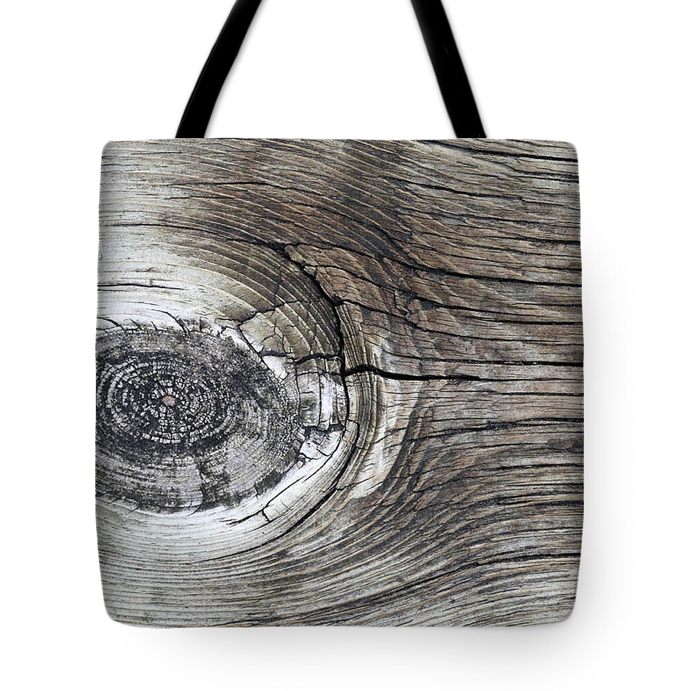 Wood Tote Bag featuring the photograph Boardwalk Creature 4 by Mary Bedy