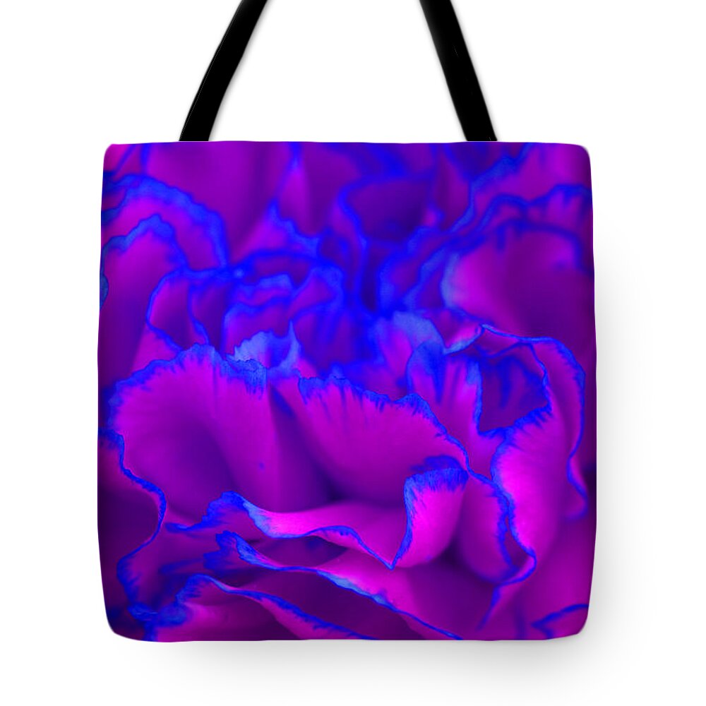 Carnation Tote Bag featuring the photograph Bold Fuschia Pink and Blue Carnation Flower by Shelley Neff