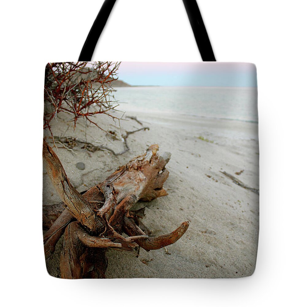 Driftwood Tote Bag featuring the photograph Bonanza Beach Driftwood by Becqi Sherman