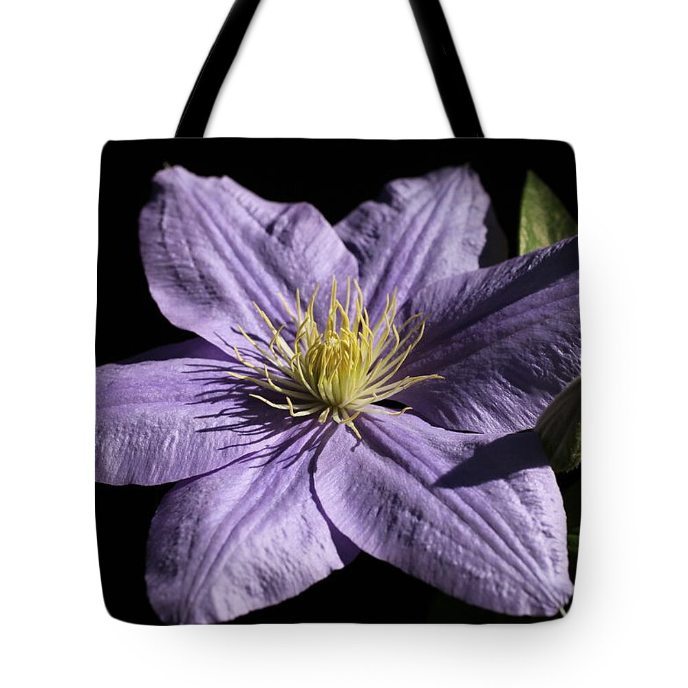 Abundant Tote Bag featuring the photograph Bonanza Clematis by Tammy Pool