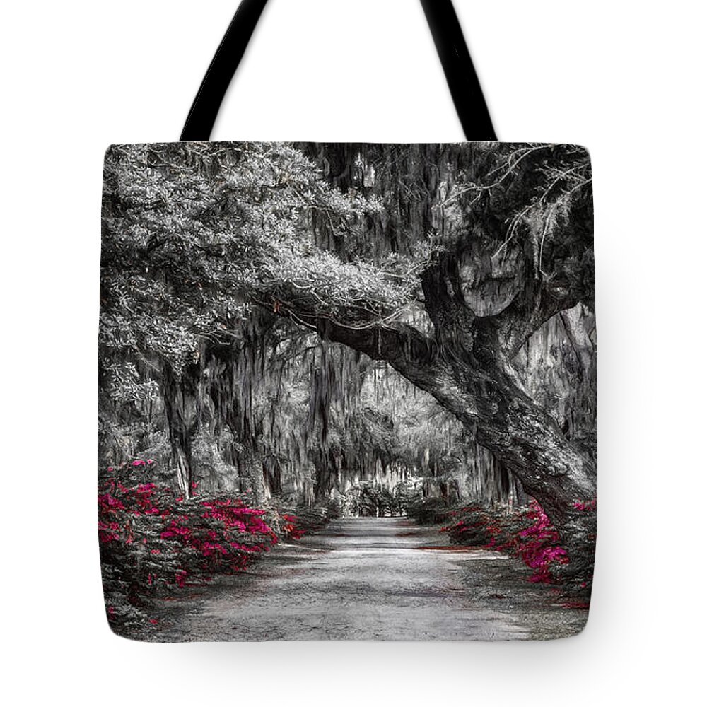 Joan Carroll Tote Bag featuring the photograph Bonaventure Cemetery BW by Joan Carroll