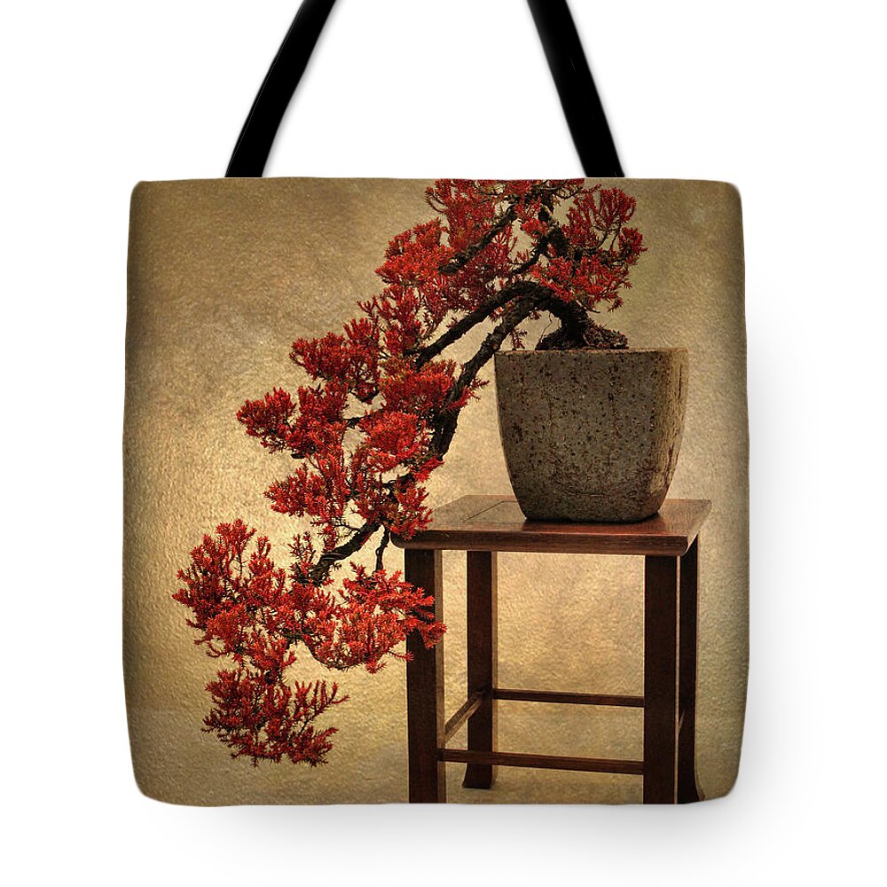Bonsai Tote Bag featuring the photograph Bonsai Beauty by Jessica Jenney