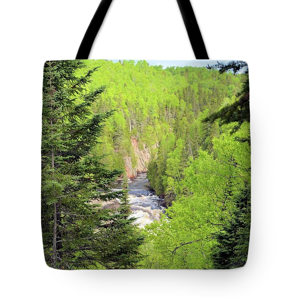 Forest Tote Bag featuring the photograph Boreal Forest Portrait by Bonfire Photography