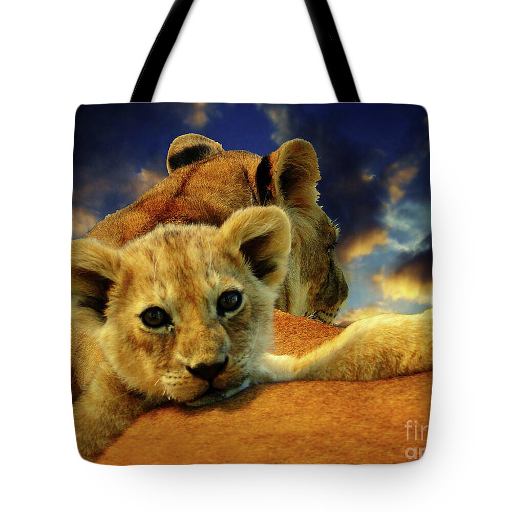 Park Tote Bag featuring the photograph Born Free III by Al Bourassa