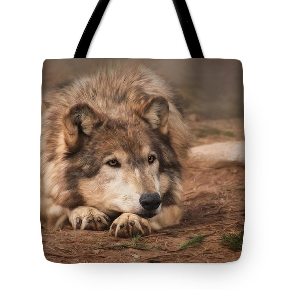 Wolf Tote Bag featuring the photograph Born to be Wild 2 by Lori Deiter