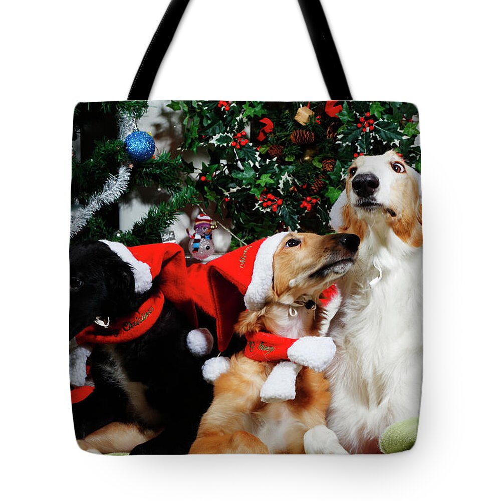 Dogs Tote Bag featuring the photograph Borzoi Hounds Dressed As Father Christmas by Christian Lagereek