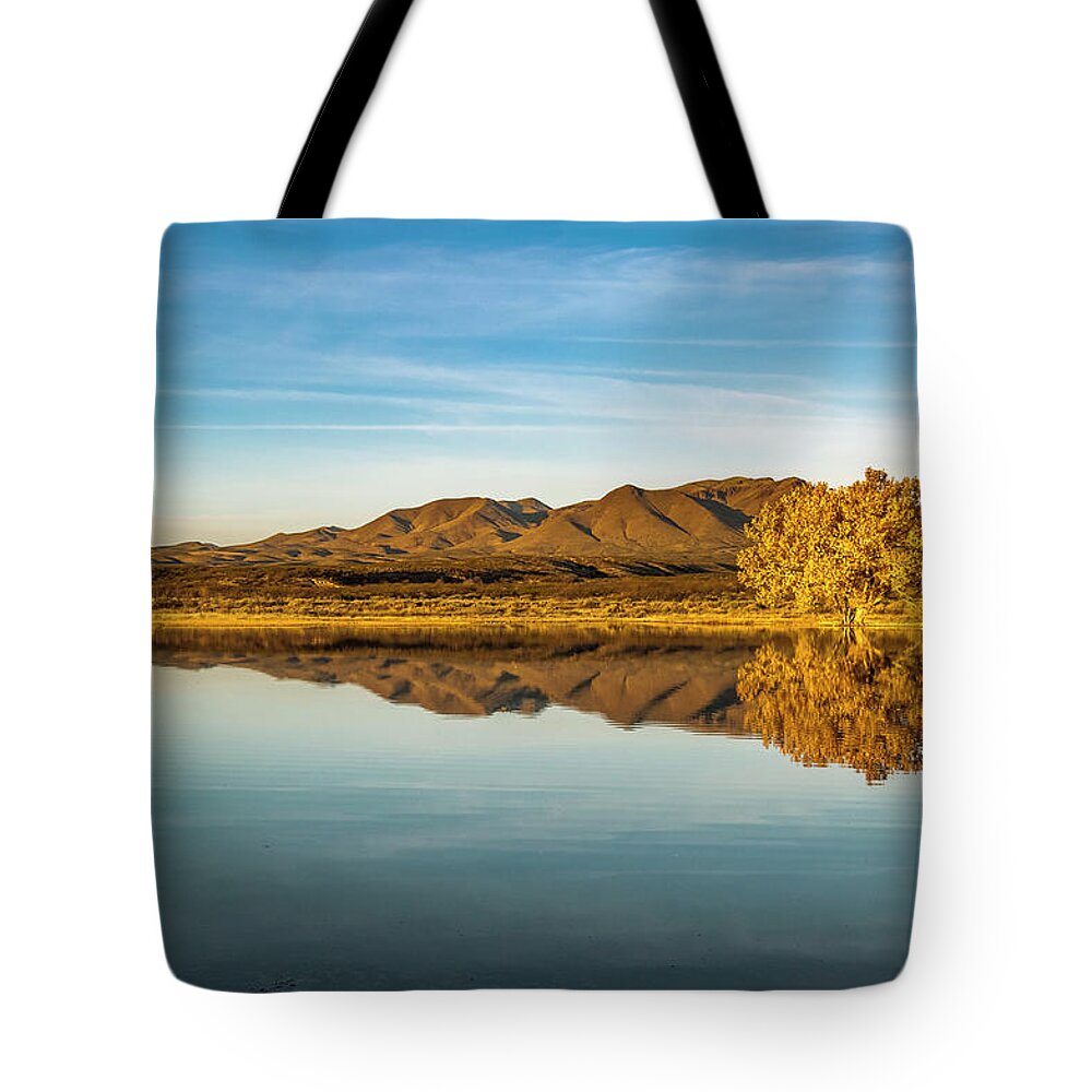 Birds Tote Bag featuring the photograph Bosque autumnscape. by Usha Peddamatham