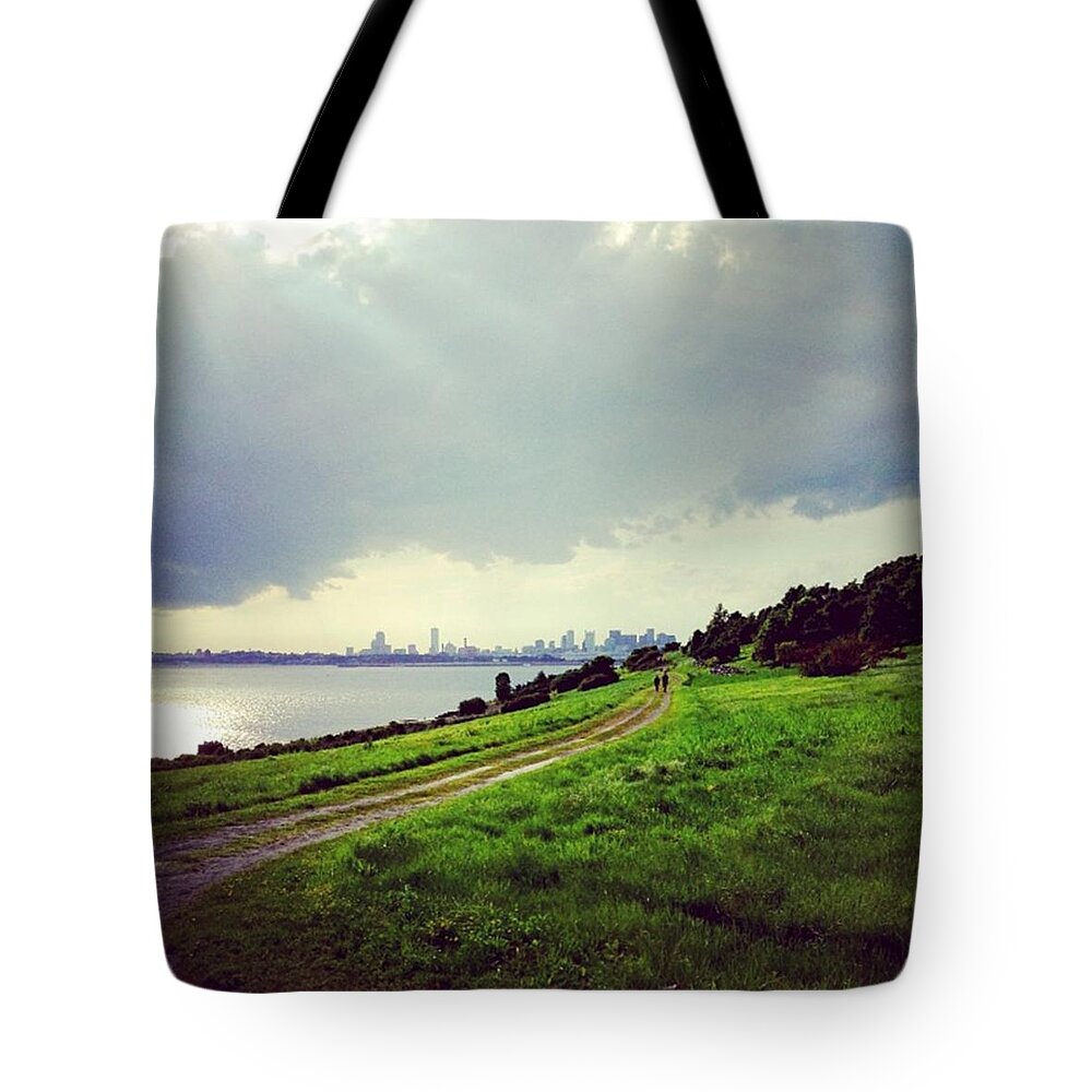 Sun Tote Bag featuring the photograph Boston From Spectacle Island by Heather Classen
