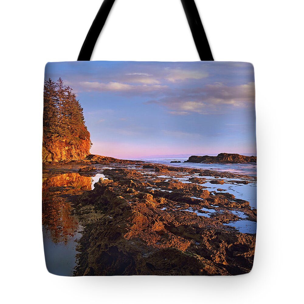 Sunrise Tote Bag featuring the photograph Botanical Beach Provincial Park, BC by Tim Fitzharris
