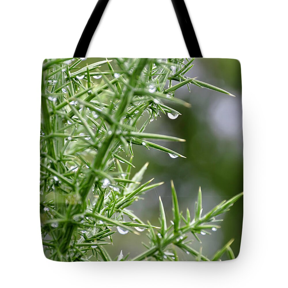 Botanical Tote Bag featuring the photograph Botanical Beauty by Yurix Sardinelly