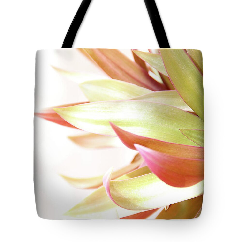Plant Tote Bag featuring the photograph Botanical Dance by Becqi Sherman