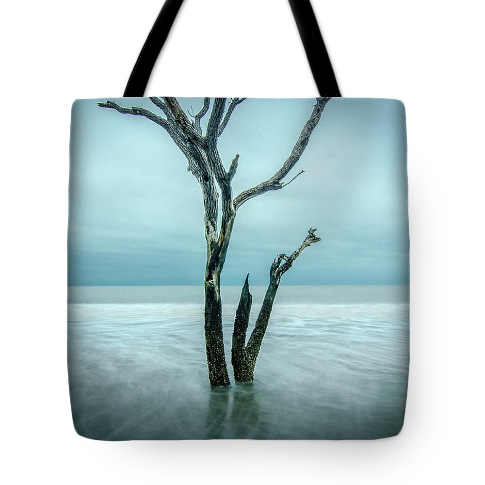 Landscape Tote Bag featuring the photograph Botany Bay Plantation Edisto Island SC by Robert Stephens