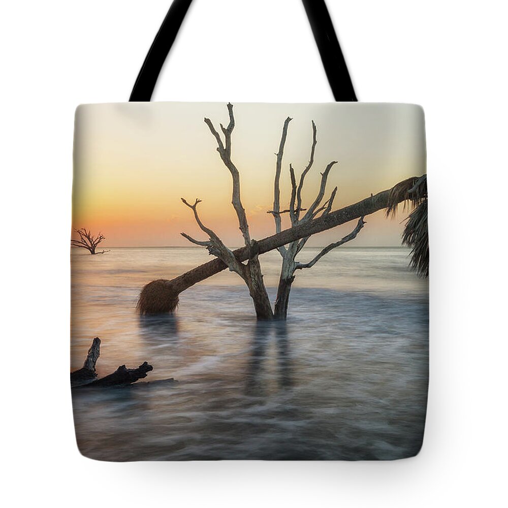 Botany Tote Bag featuring the photograph Botany Beach by Alex Mironyuk