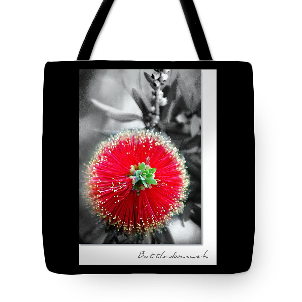 Nature Tote Bag featuring the photograph Bottlebrush Callistemon by Holly Kempe