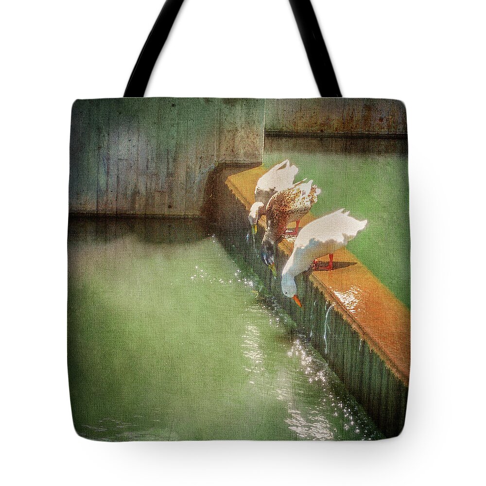 Ducks Tote Bag featuring the photograph Bottoms Up by John Anderson