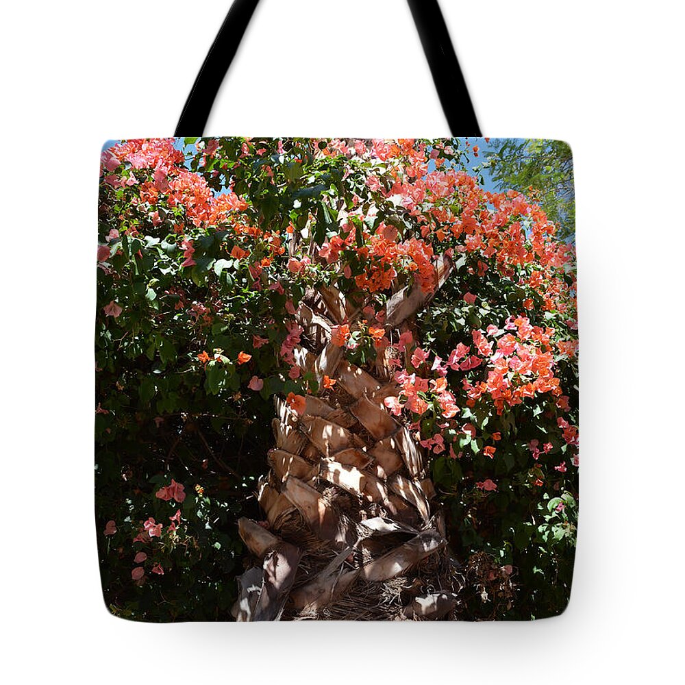 Bougainvillea Tote Bag featuring the photograph Bougainvillea on Palm by Aimee L Maher ALM GALLERY