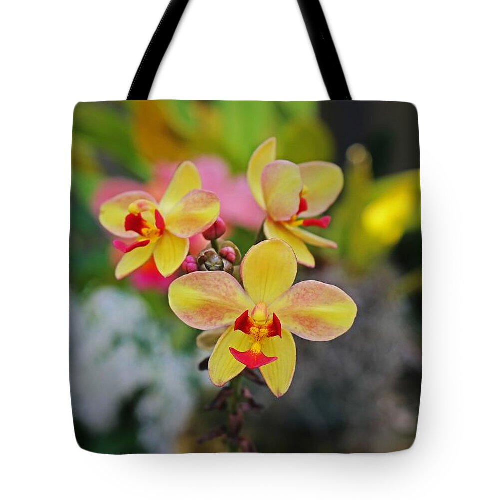 Yellow Tote Bag featuring the photograph Bound to Love- horizontal by Michiale Schneider