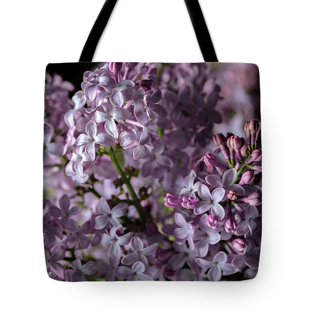 Lilacs Tote Bag featuring the photograph Bouquet of Lilacs II by Tamara Becker