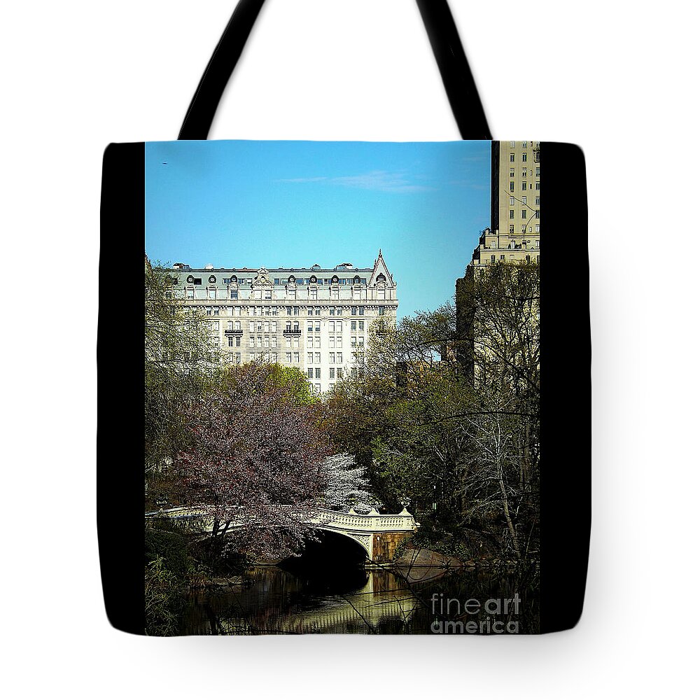 Central Park Tote Bag featuring the photograph Bow Bridge in Central Park by James Aiken