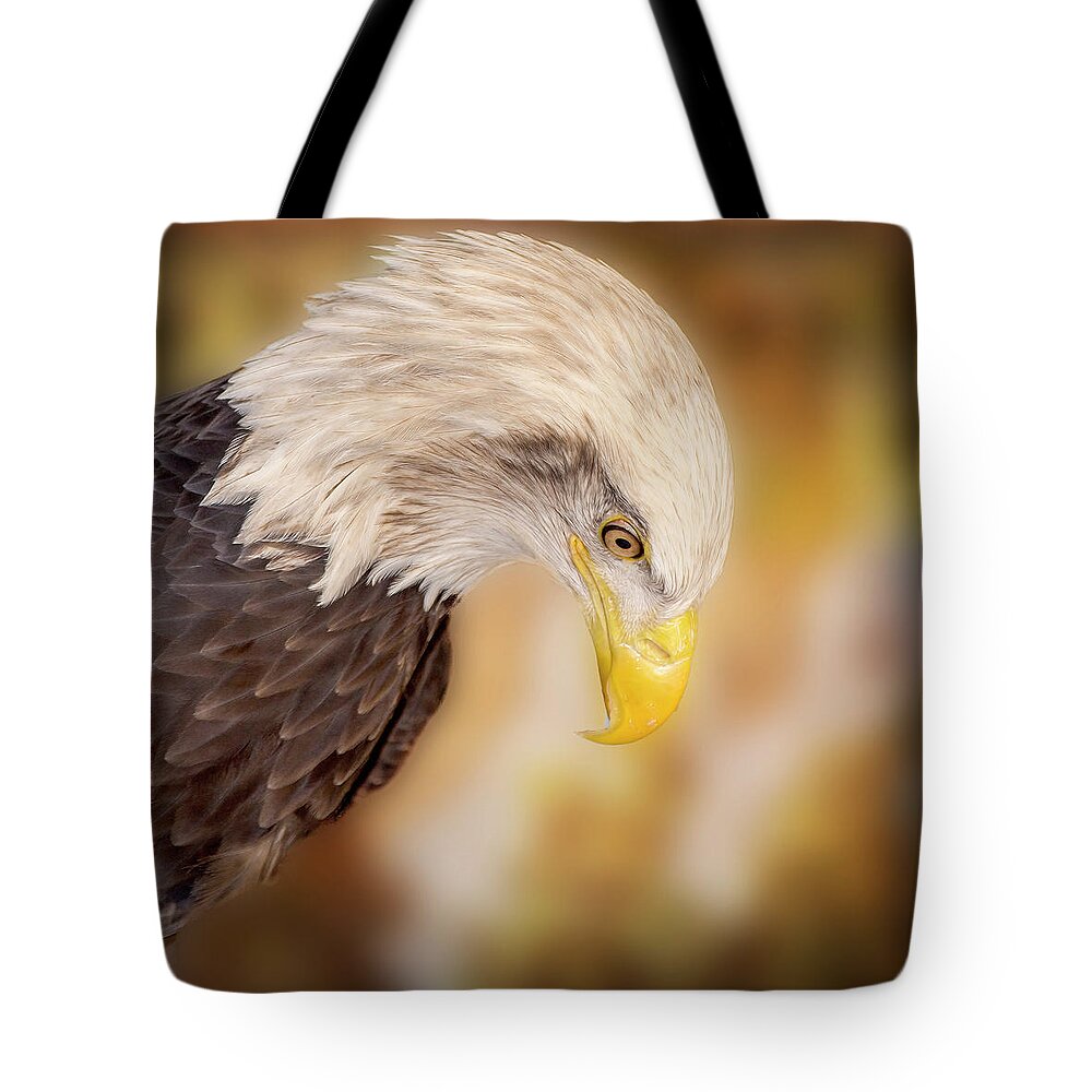 Bald Eagle Tote Bag featuring the photograph Bow Your Head and Prey by Bill and Linda Tiepelman