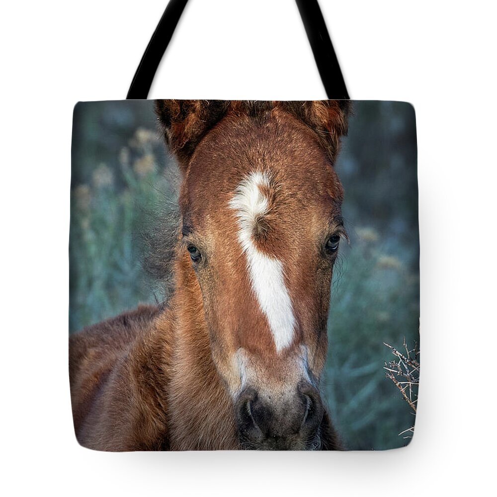  Tote Bag featuring the photograph _z3a9080 by John T Humphrey