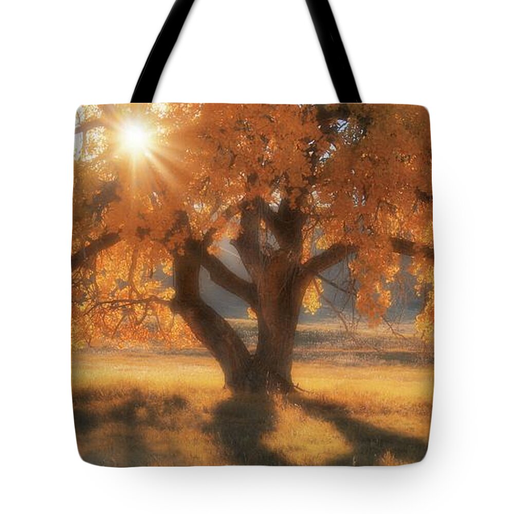 Western Tote Bag featuring the photograph Boxelder's Autumn Tree by Amanda Smith