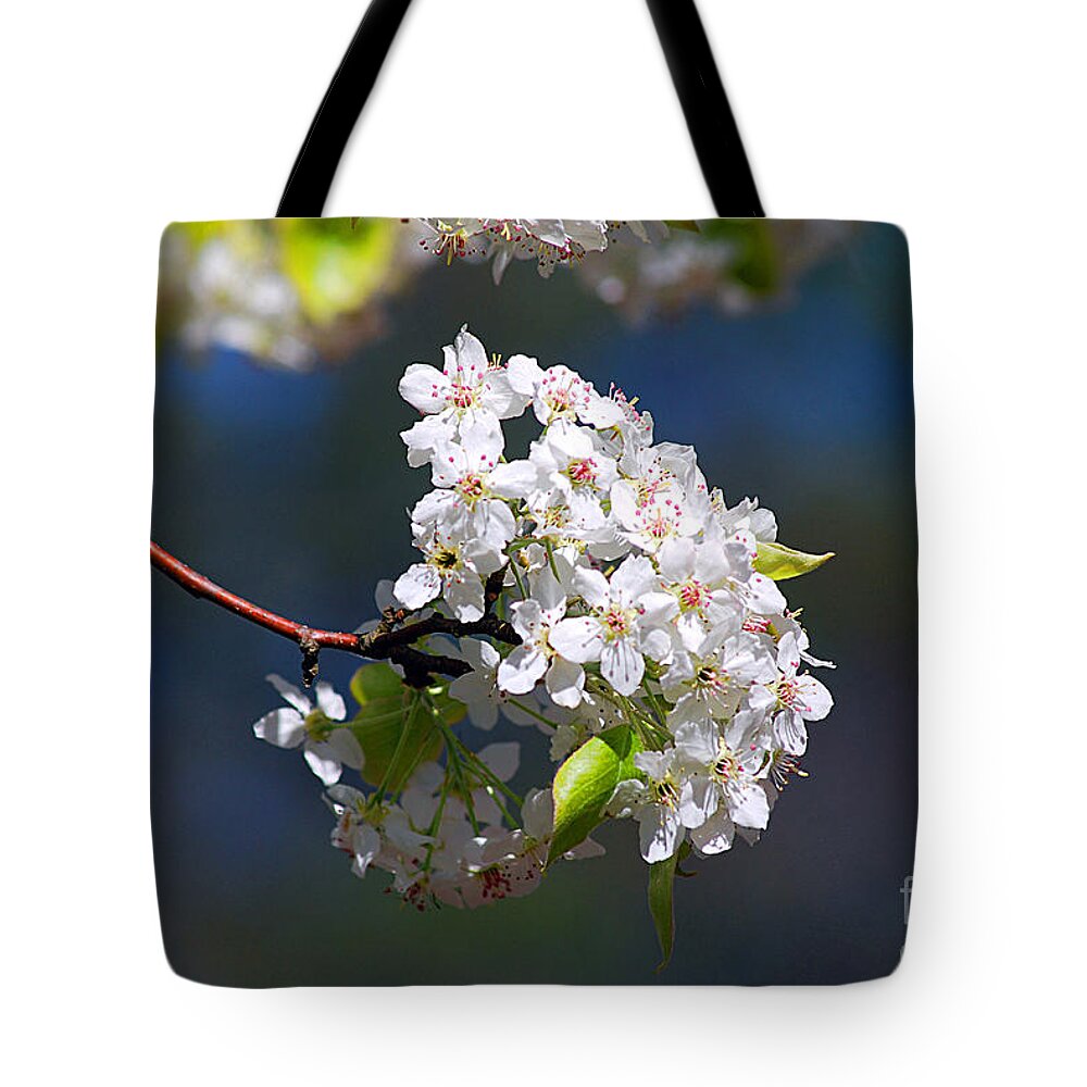 Bradford Pear Tote Bag featuring the photograph Bradford Pear Blossoms 20120402_116a by Tina Hopkins