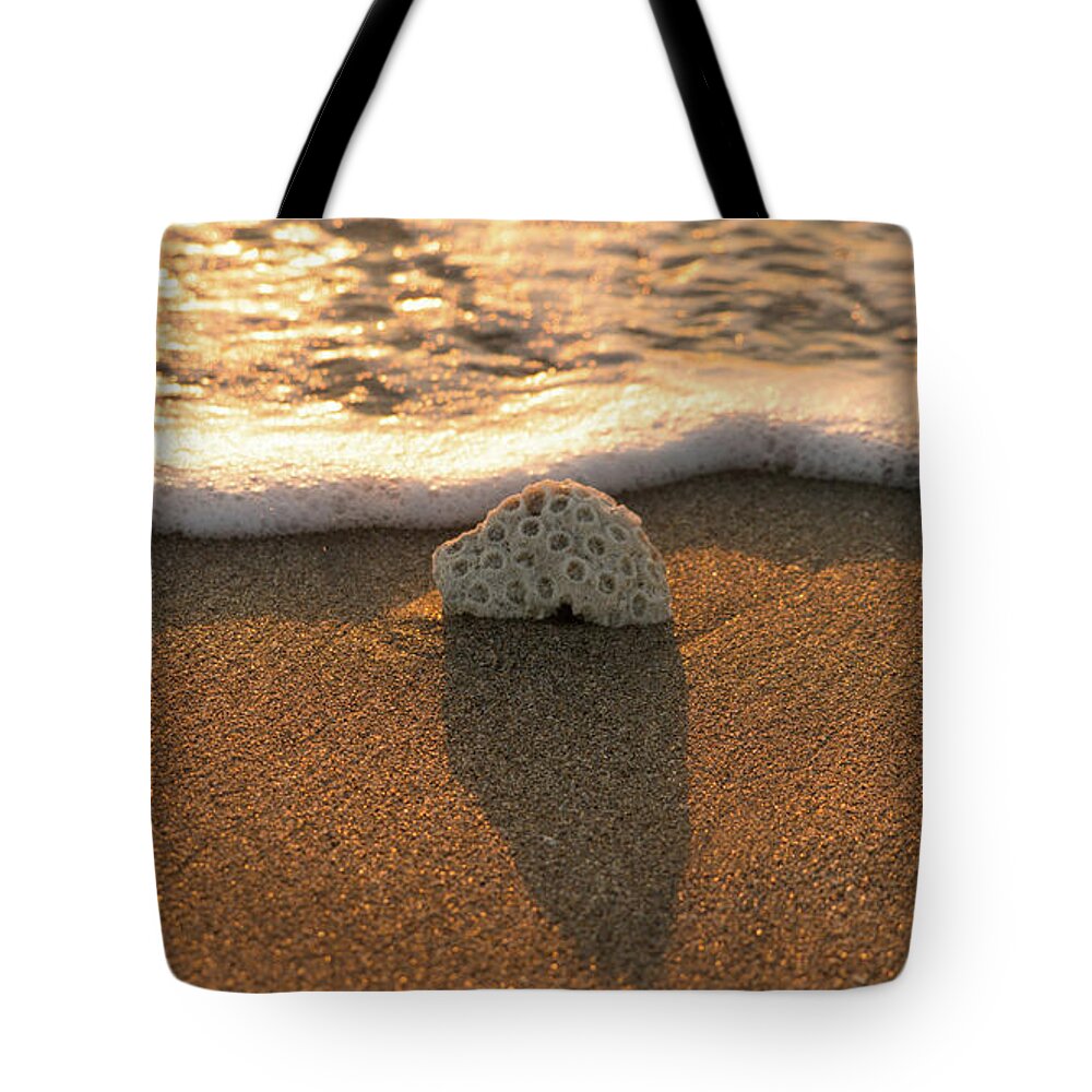 Florida Tote Bag featuring the photograph Brain Coral Wave by Lawrence S Richardson Jr