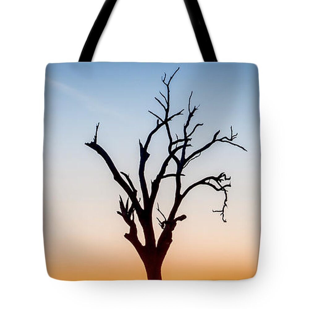 Mitagong State Forest Tote Bag featuring the photograph Branches by Az Jackson
