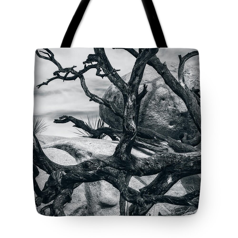 Branches Tote Bag featuring the photograph Branches Series 9150697 by Sandra Selle Rodriguez