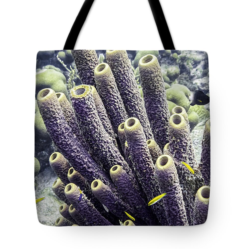 Branching Tube Sponge Tote Bag featuring the photograph Branching Tube Sponge by Perla Copernik