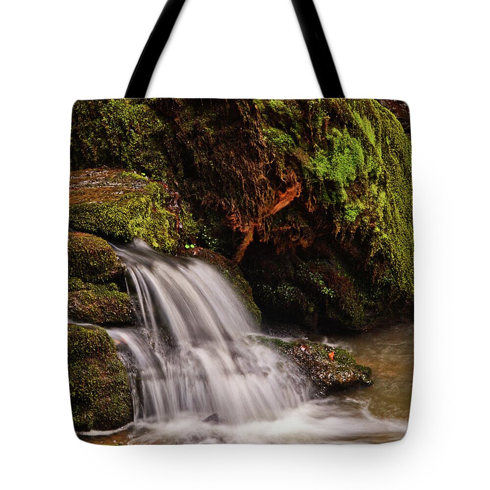 Long Exposure Tote Bag featuring the photograph Brasstown Falls 001 by George Bostian