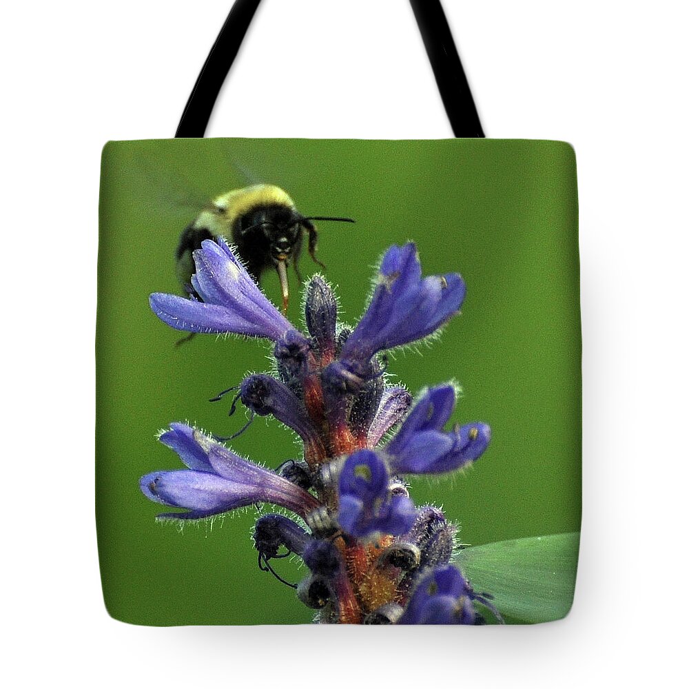 Bumble Bee Tote Bag featuring the photograph Bumble Bee Breakfast by Glenn Gordon