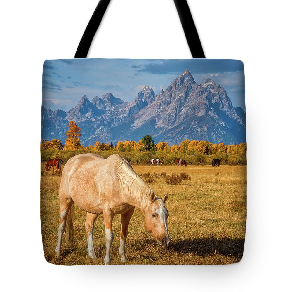 Grand Teton Tote Bag featuring the photograph Breakfast in the Tetons by Darren White