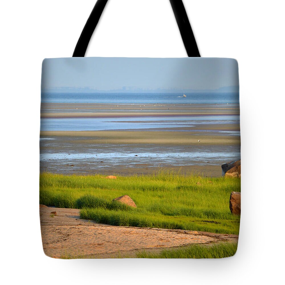 Brewster Tote Bag featuring the photograph Cape Cod Bay-Breakwater Beach by Dianne Cowen Cape Cod Photography