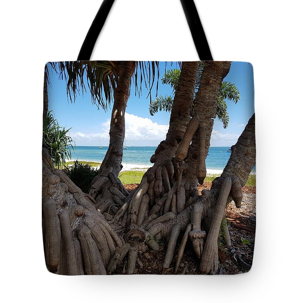 Bribie Island Tote Bag featuring the photograph Bribie Trees by Cassy Allsworth