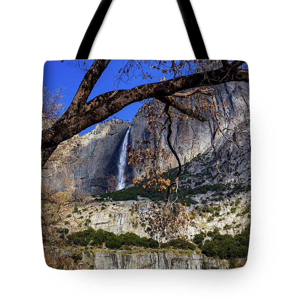  Fall Tote Bag featuring the photograph Yosemite Falls framed by tree branch by Roslyn Wilkins