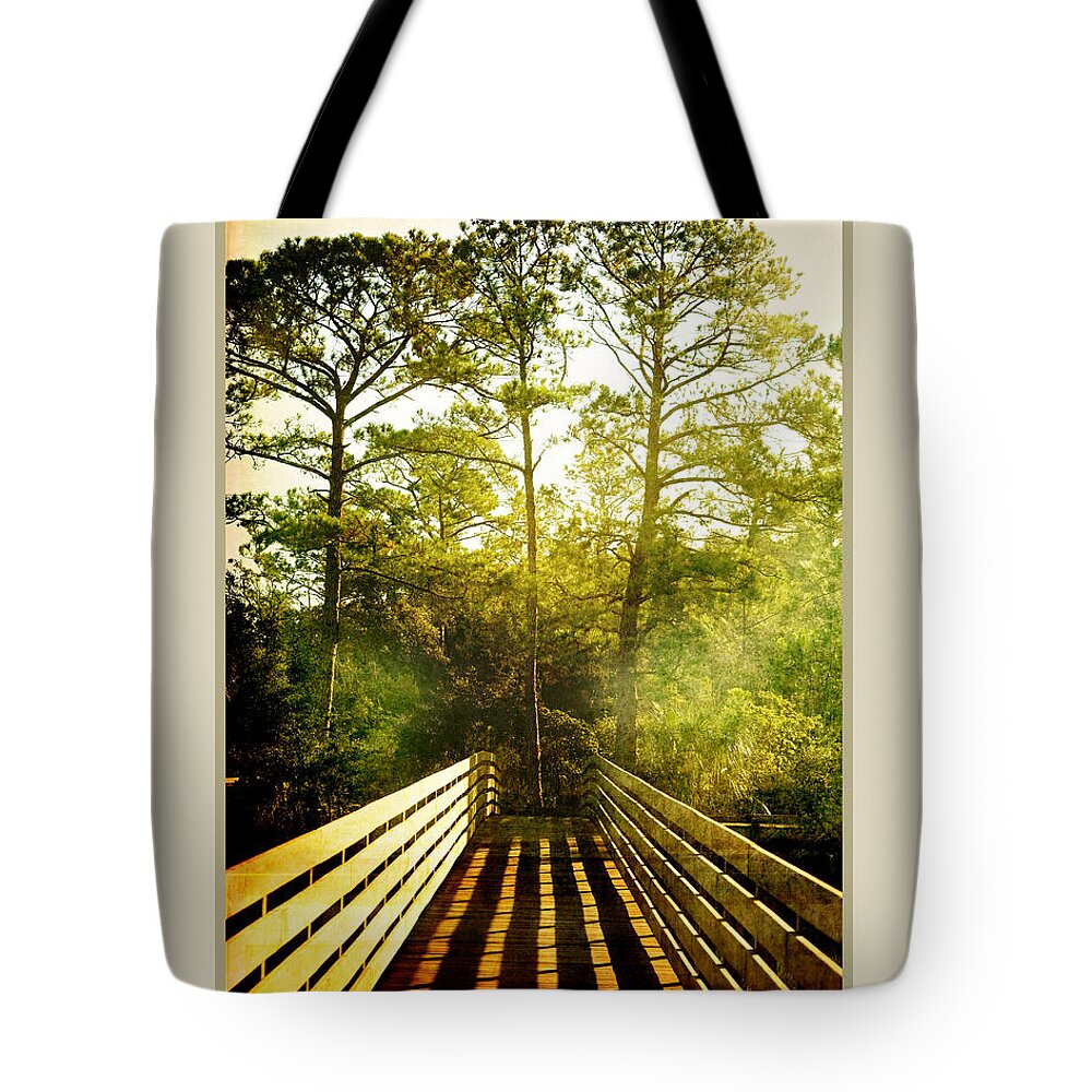 Southern Landscape Tote Bag featuring the photograph Bridge shadows by Linda Olsen