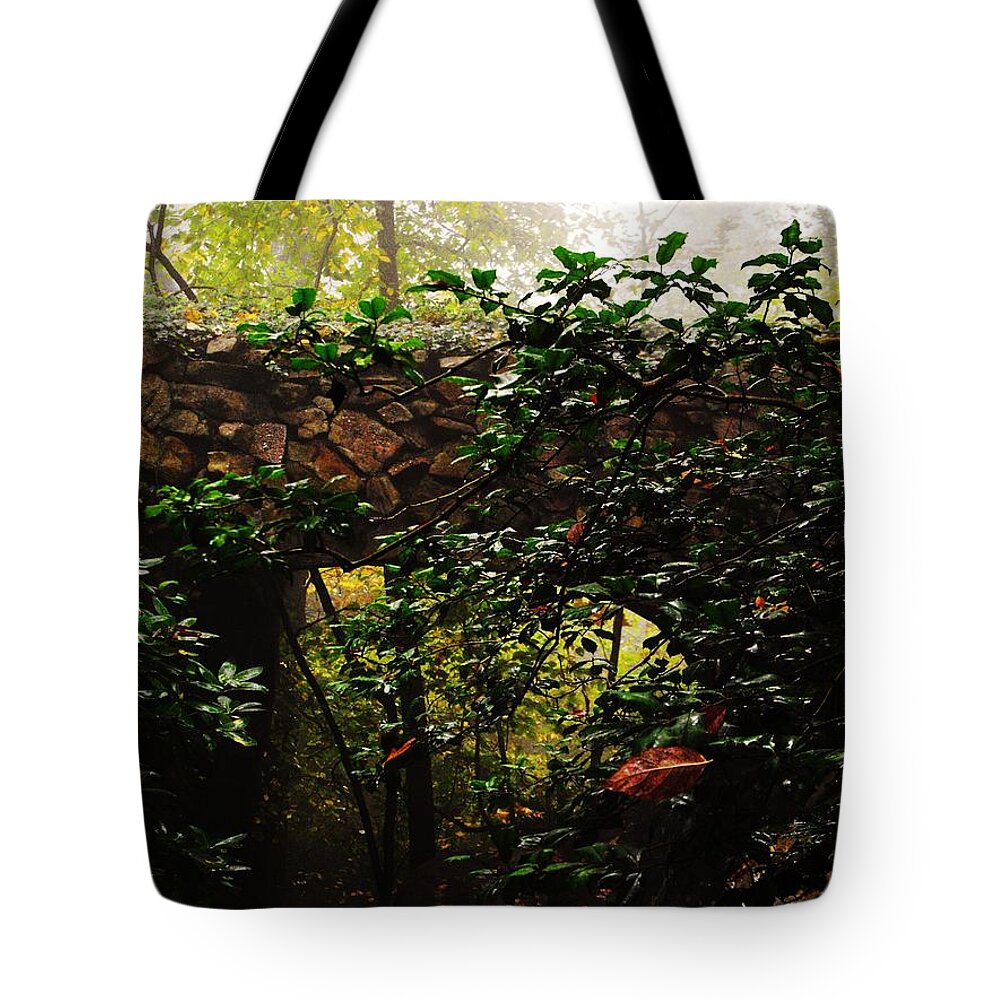 Rock City Tote Bag featuring the photograph Bridges of Stone by Lori Child