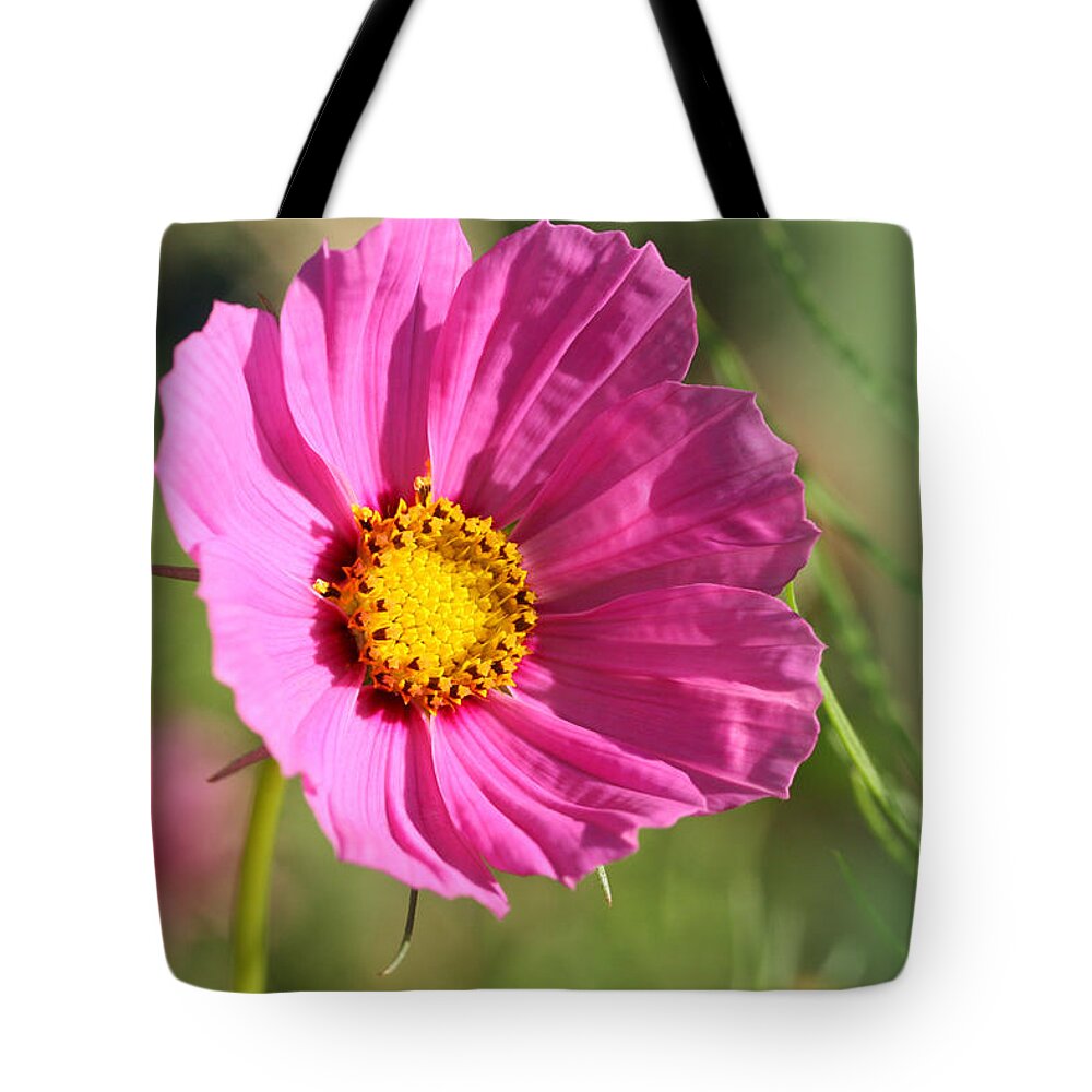 Bright Tote Bag featuring the photograph Bright Blossom Cosmo by Tammy Pool