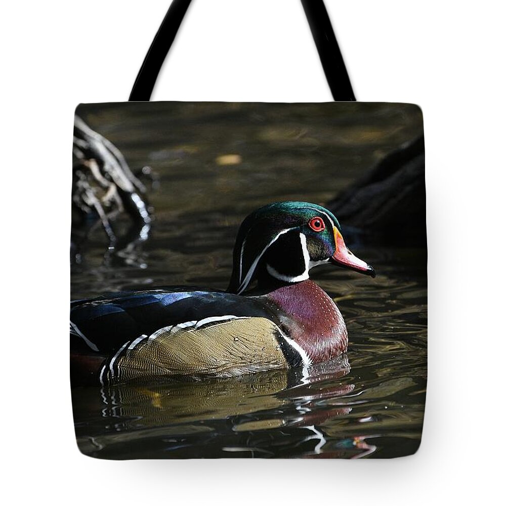 Wood Duck Tote Bag featuring the photograph Bright Eye by Fraida Gutovich