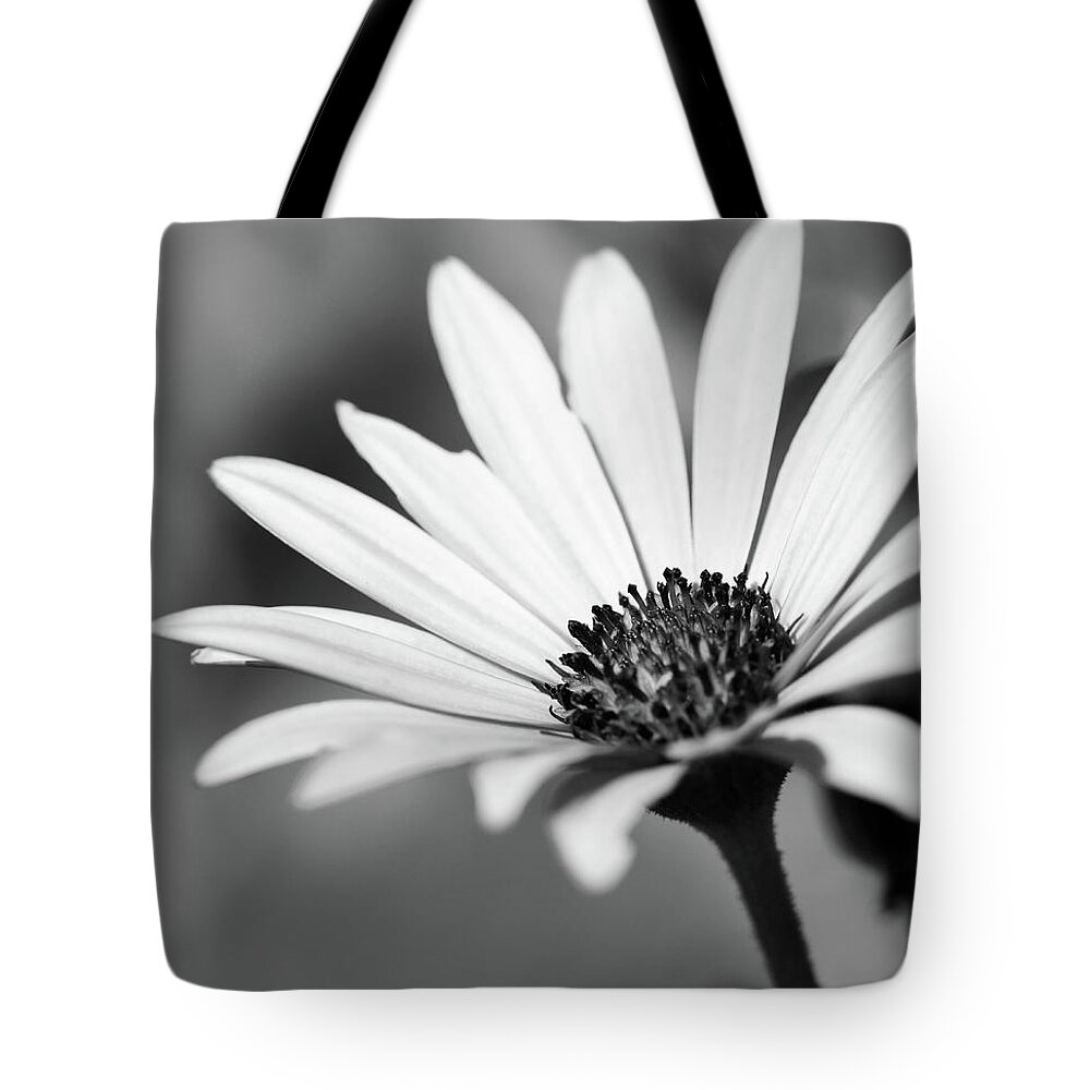 Black And White Tote Bag featuring the photograph Bright Petals by Mary Anne Delgado