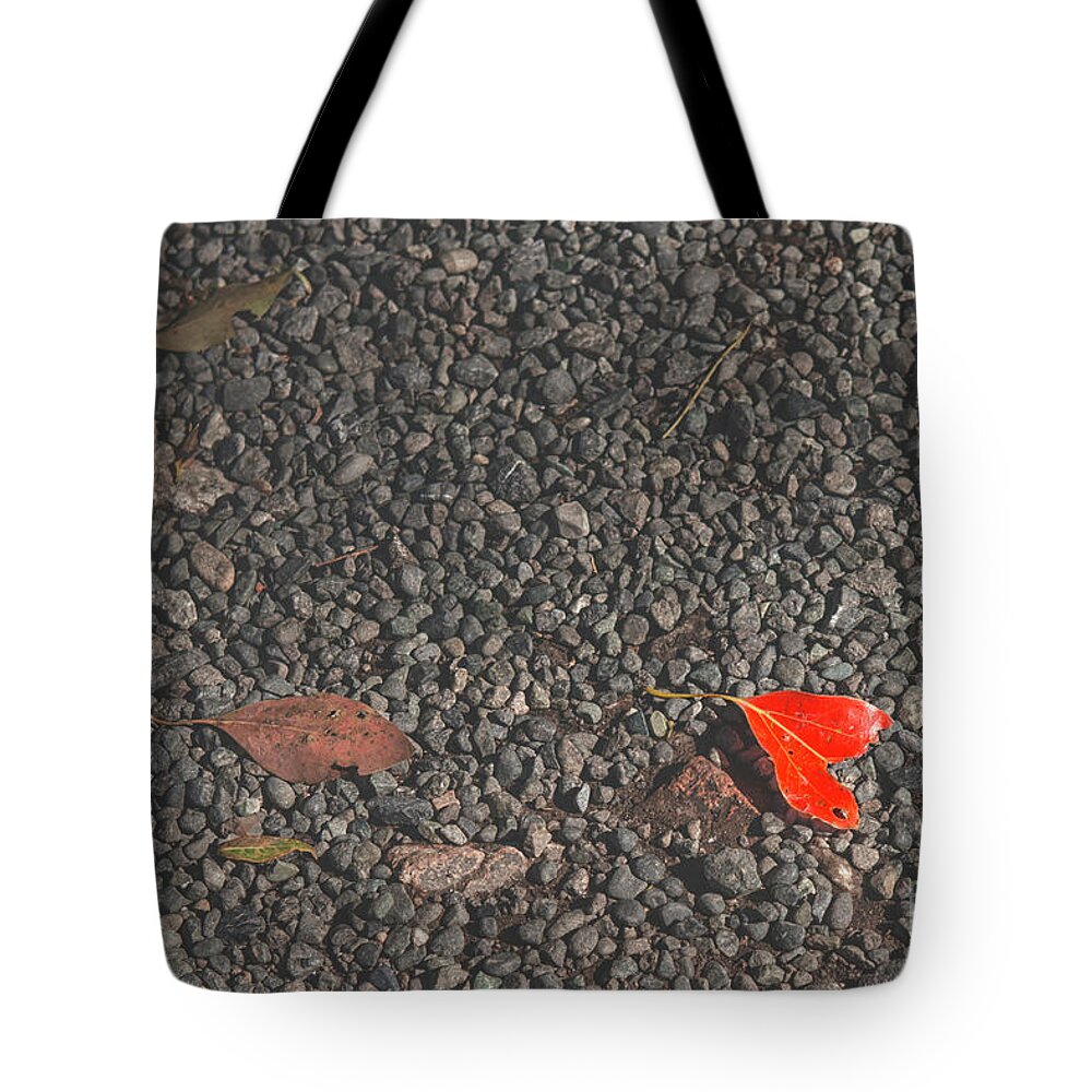 Still Life Tote Bag featuring the photograph Bright red by Patricia Hofmeester