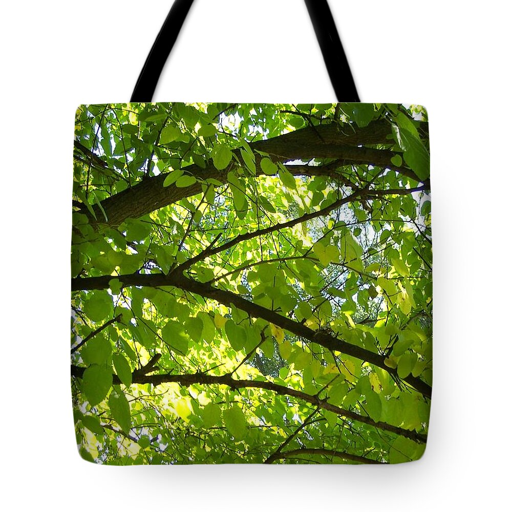Tree Tote Bag featuring the photograph Bright Treetop by Michelle Miron-Rebbe