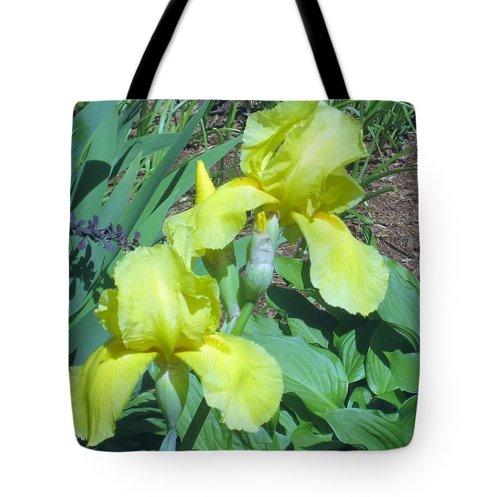 Yellow Irish Tote Bag featuring the photograph Bright Yellow by Paul Meinerth
