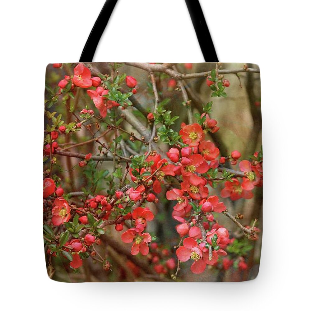Japanese Quince Tote Bag featuring the photograph Brighten my garden by Yumi Johnson