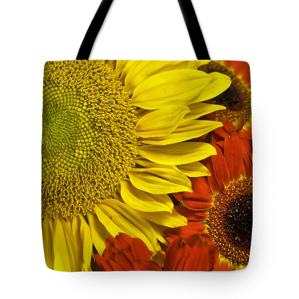 Sunflower Tote Bag featuring the photograph Brilliant Autumn by Elsa Santoro